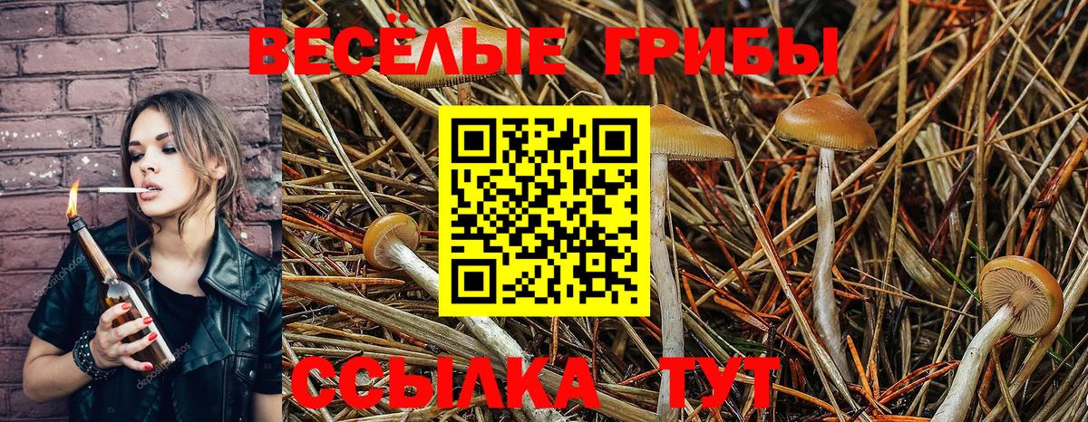 Псилоцибиновые грибы GOLDEN TEACHER Ирбит
